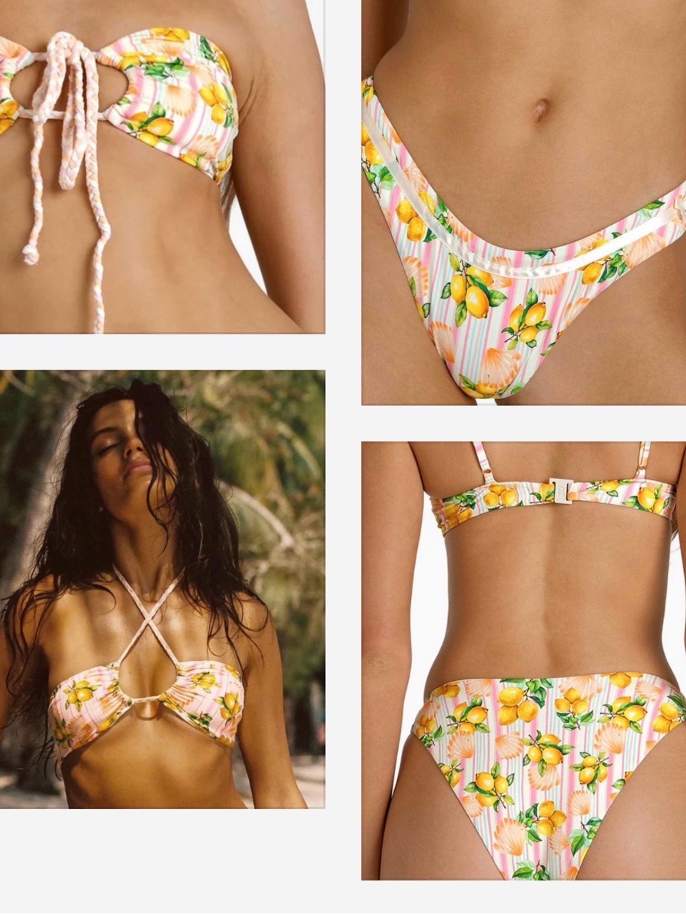 NEW- Blackbough Island Citrus Set